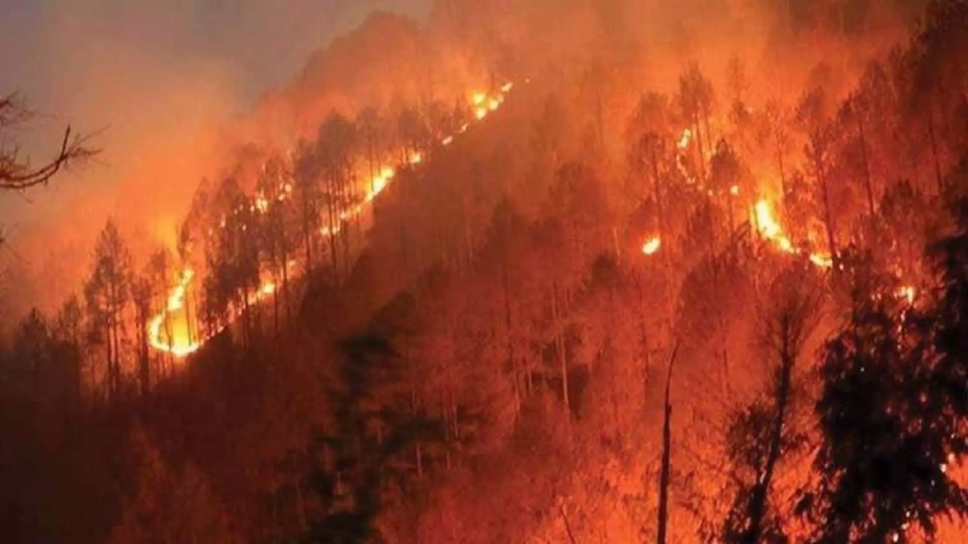 पुंछ जिले में जंगल में लगी आग