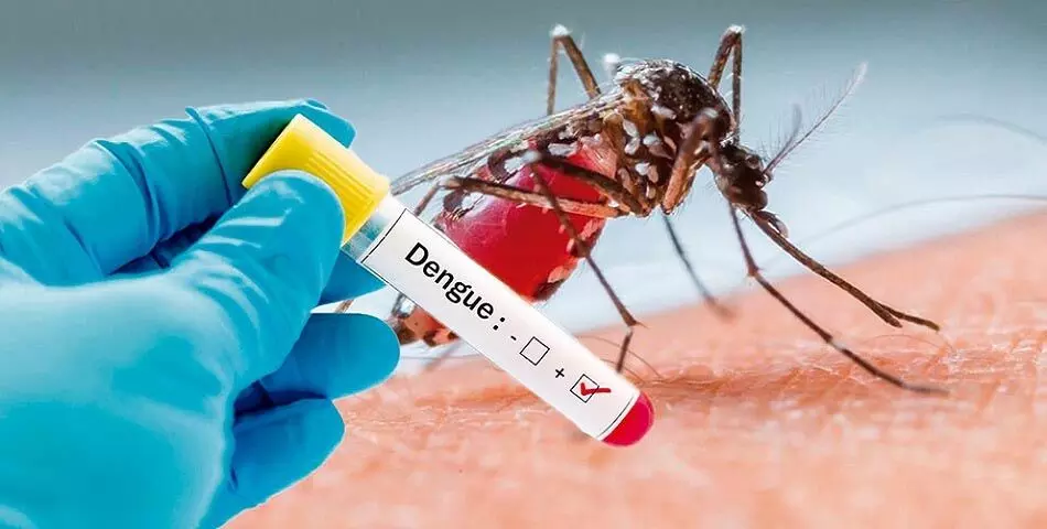 पिछले तीन माह में डेंगू मामलों में वृद्धि का कारण, बताये दिल्ली सरकार