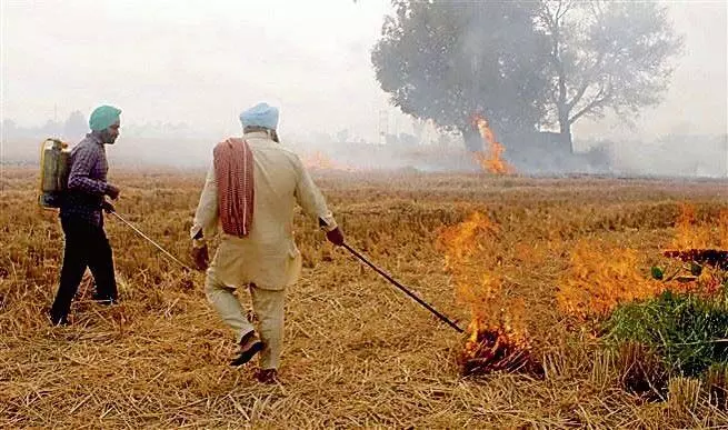 खेतों में आग लगने के मामलों में कार्रवाई को लेकर पंजाब सरकार असमंजस में