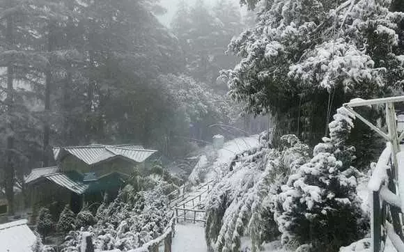 हिमाचल के ऊंचे इलाकों में अगले 3 दिनों तक भारी बर्फबारी, बारिश की संभावना