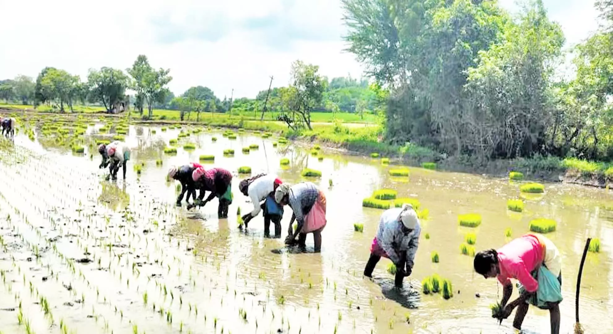 तमिलनाडु: किसान बेहतर जीवन जीने के लिए बदलाव के बीज तलाश रहे हैं
