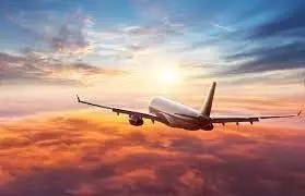 बीसीएएस ने सात एयरलाइनों को 30 मिनट के भीतर यात्रियों के बैग की डिलीवरी का दिया निर्देश