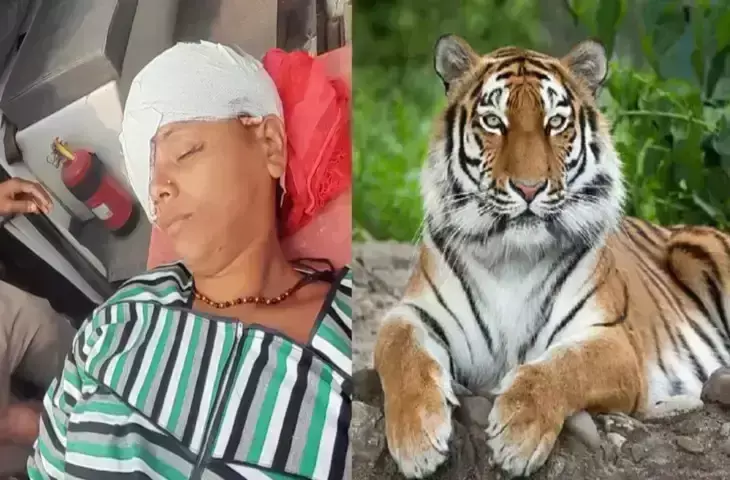 ढेला गांव में महिला को बाघ ने मार डाला