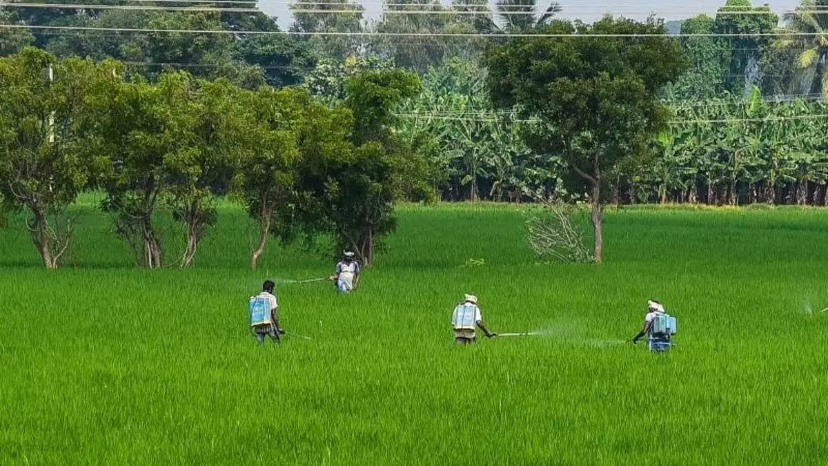 रामनाथपुरम के किसानों ने राज्य के बजट से पहले मांगों की सूची बनाई