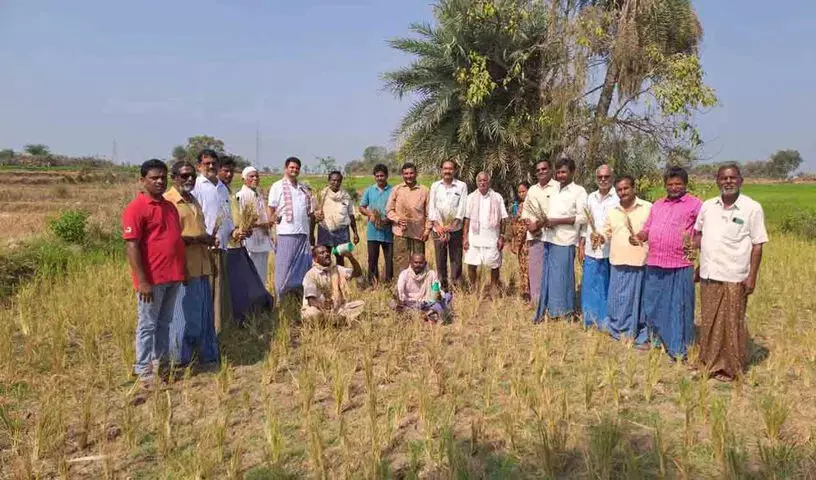 सिंचाई मंत्री के निर्वाचन क्षेत्र में पानी की कमी को लेकर किसानों ने विरोध प्रदर्शन किया