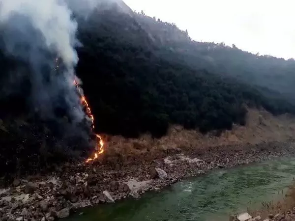 जंगलों में लगने वाली बड़ी आग पर्यावरणीय खतरे पैदा कर रही