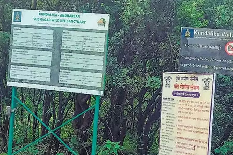 वन विभाग ने पर्यटकों पर 25 हजार रुपये का  लगाया जुर्माना