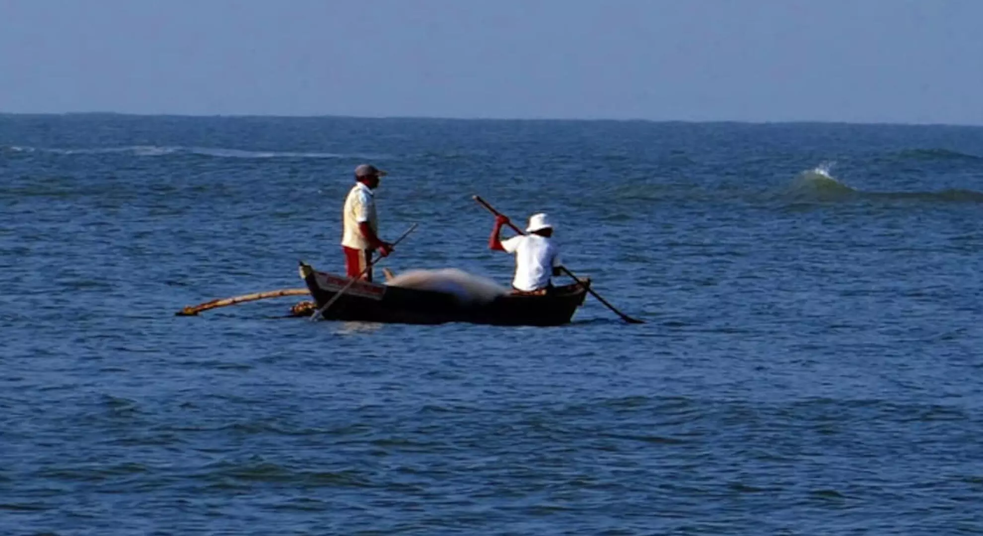 लंका अदालत ने 18 भारतीय मछुआरों को रिहा कर दिया
