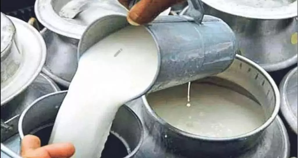 इंदौर में दूध डेयरियों की जांच शुरू