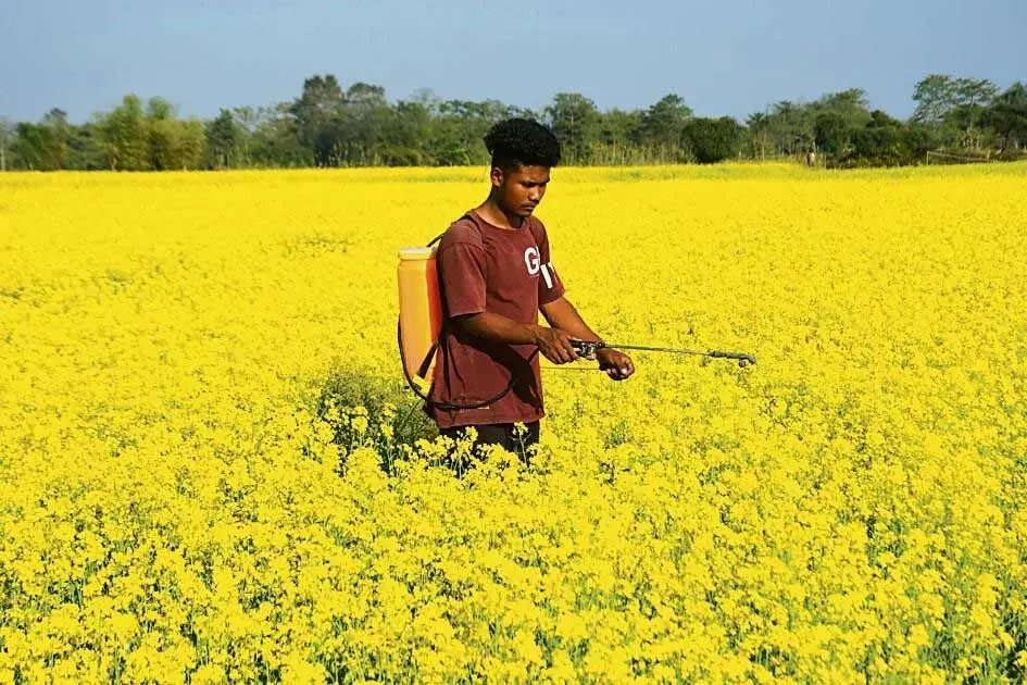 हरियाणा बजट 2023-24: 1,739 करोड़ रुपये की कृषि ब्याज माफी