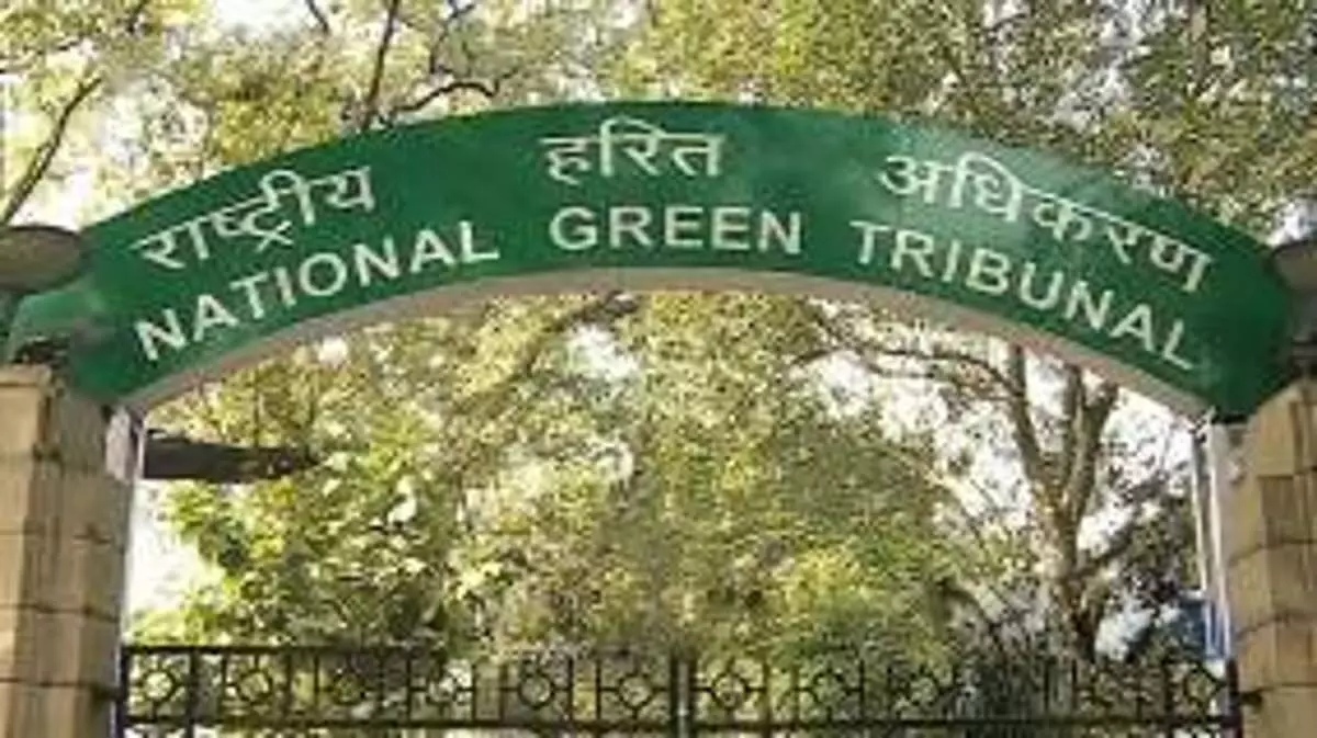 एनजीटी ने 5,000 हेक्टेयर वन भूमि अतिक्रमण की रिपोर्ट पर केरल, कर्नाटक को पक्षकार बनाया