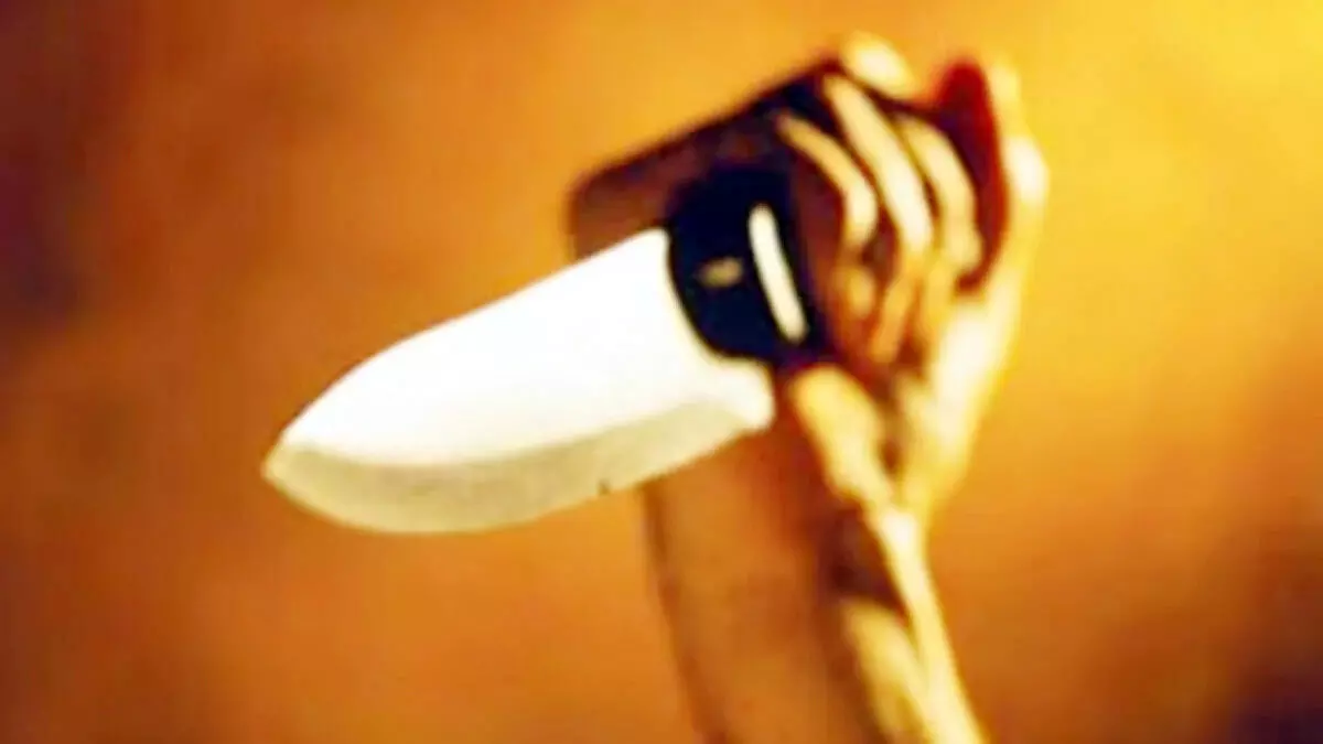 लूट का विरोध करने पर चोरों ने व्यक्ति को चाकू मारकर हत्या , मोके पर मौत