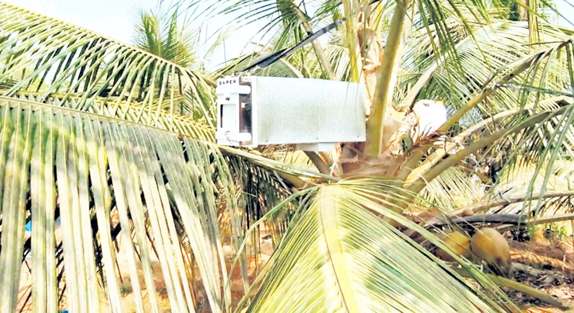 एर्नाकुलम स्थित स्टार्टअप का रोबोटिक टैपर नारियल किसानों को अतिरिक्त लाभ दे रहा है