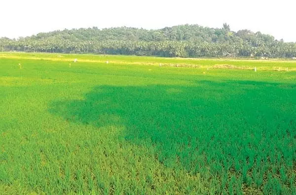 भूमि रूपांतरण के लिए गोवा टीसीपी अधिनियम में धारा 39ए को राज्यपाल की मंजूरी मिली