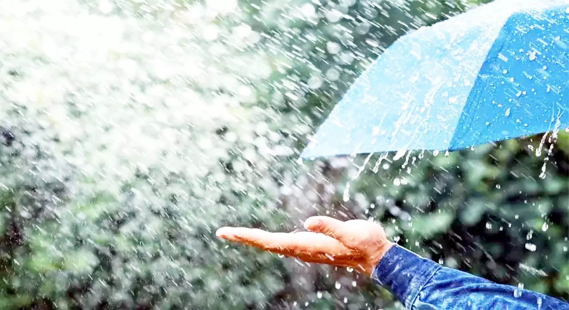 मौसम विभाग ने एपी, तेलंगाना में हल्की से मध्यम बारिश का अनुमान लगाया है