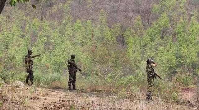 सुरक्षा बलों ने मलकानगिरी सीमा पर तीन माओवादियों को मार गिराया