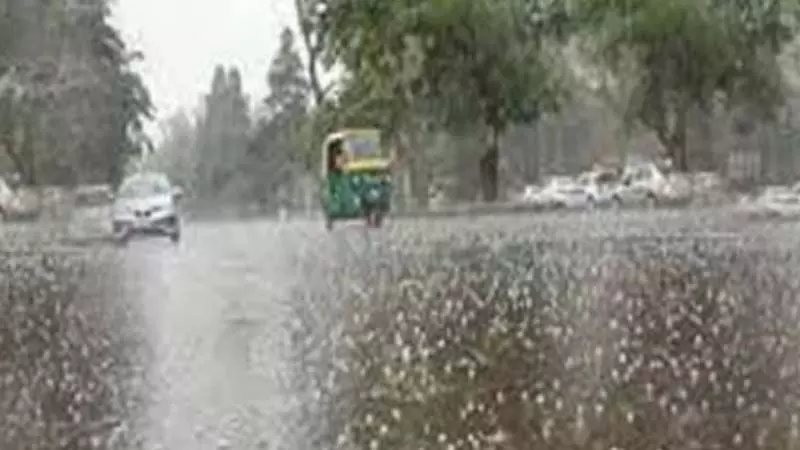 राजस्थान के कई जिलों में बारिश का अलर्ट