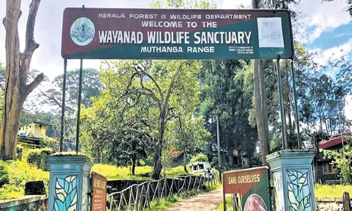 17 फरवरी से बंद वायनाड में पर्यटन स्थल फिर से खोलने की मांग तेज