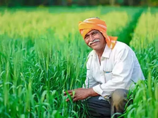 इन किसानों को मिलता हैं, Kisan Credit Scheme का फायदा, जानें कैसे करें अप्लाई
