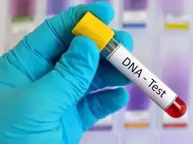 धूल फांक रही हैं डीएनए जांच की सैकड़ों फाइलें