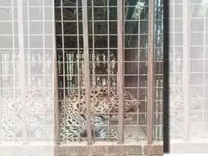 पिंजरे में कैद हुआ तेंदुआ
