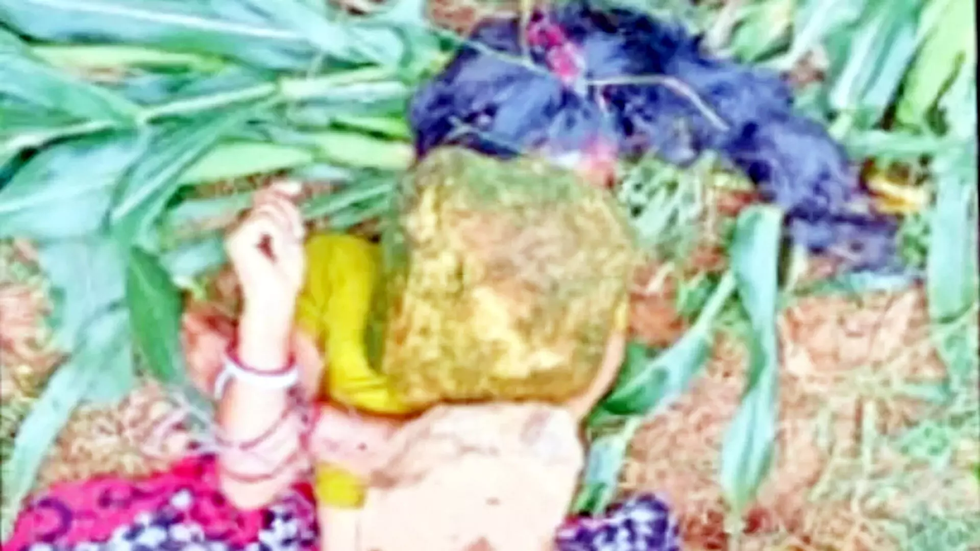महिला की निर्मम हत्या , कपड़े के बिना हुई लाश खेत से बरामद