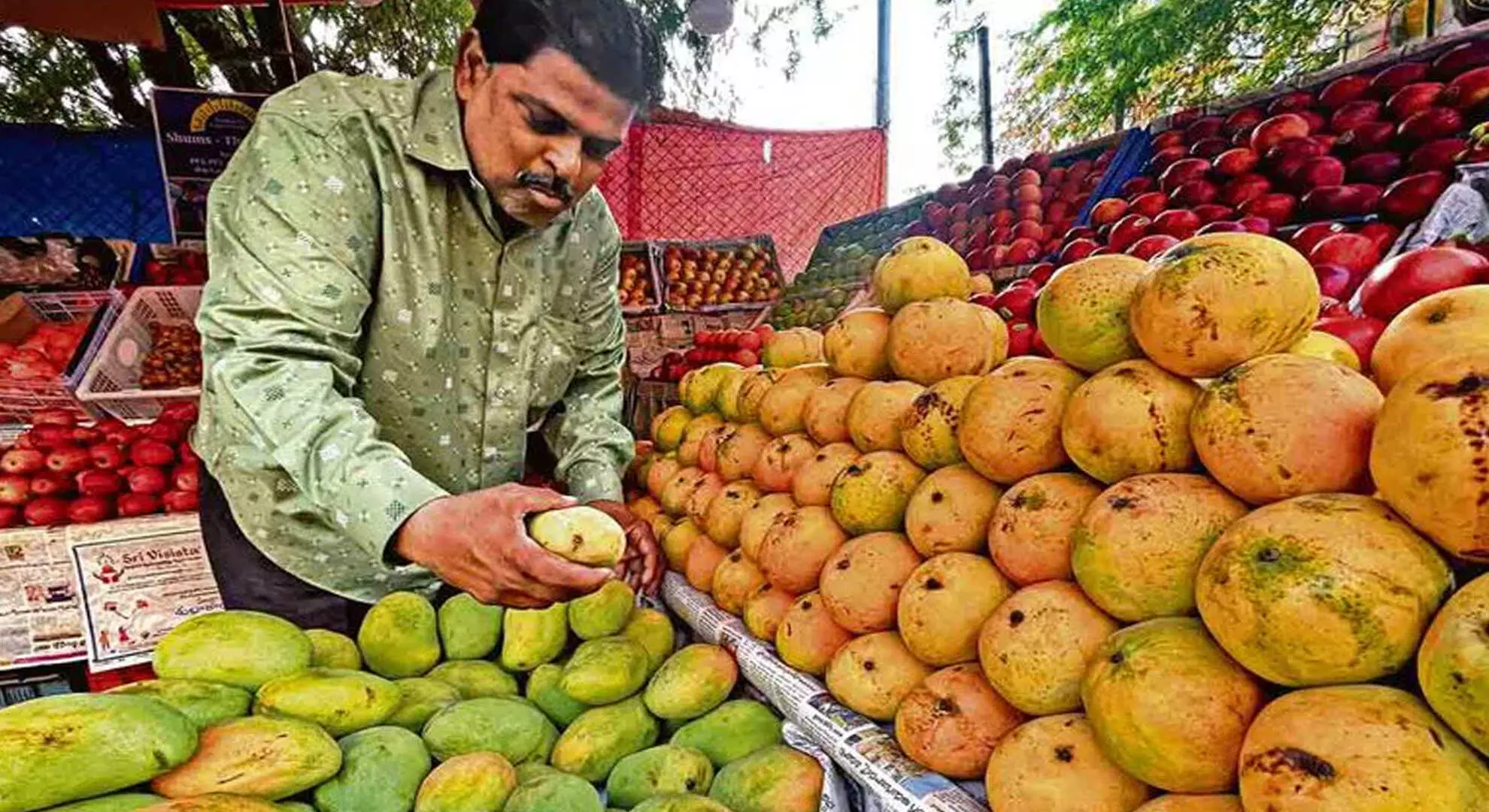 फलों का राजा हैदराबाद के बाजारों में जल्दी पहुंच जाता है