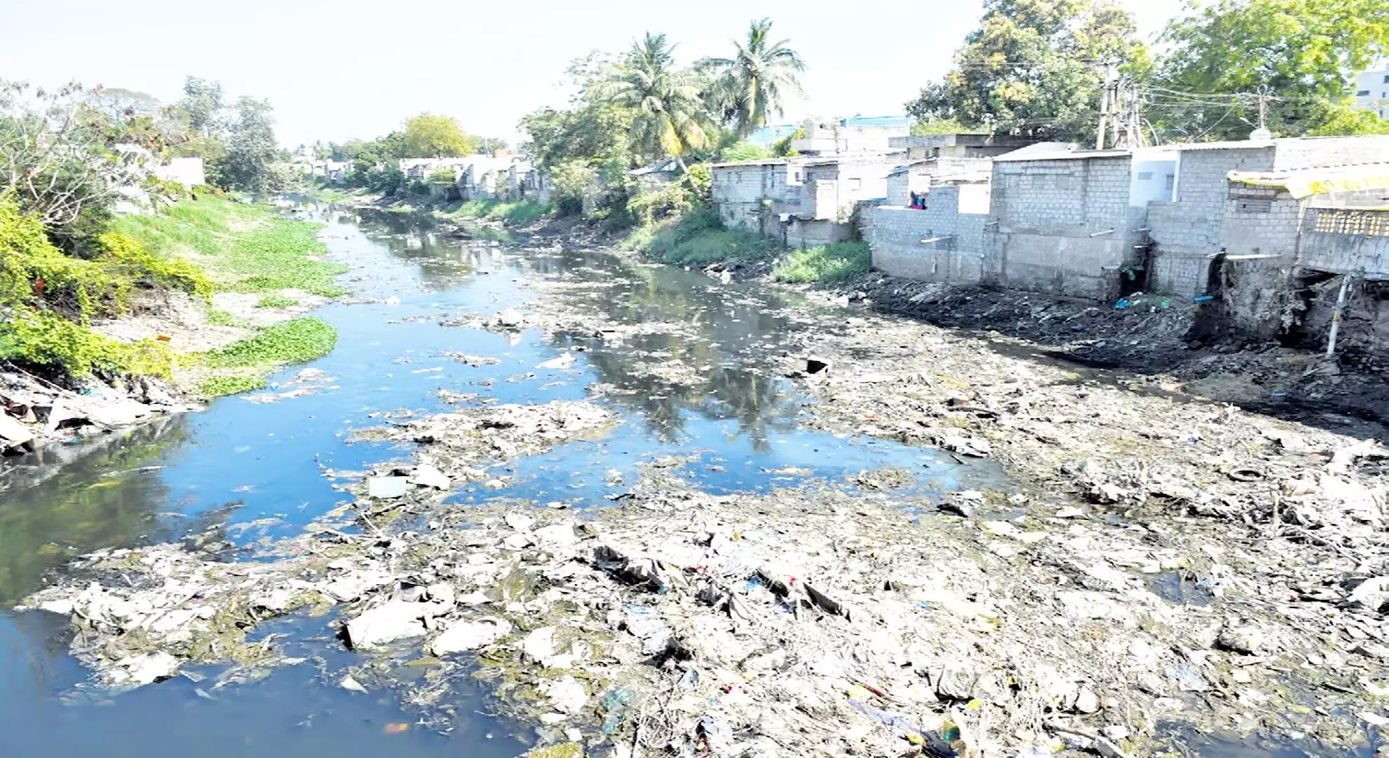 आंध्र प्रदेश के वेनिस में नाली का पानी छोड़े जाने से नहरें प्रदूषित हो रही हैं