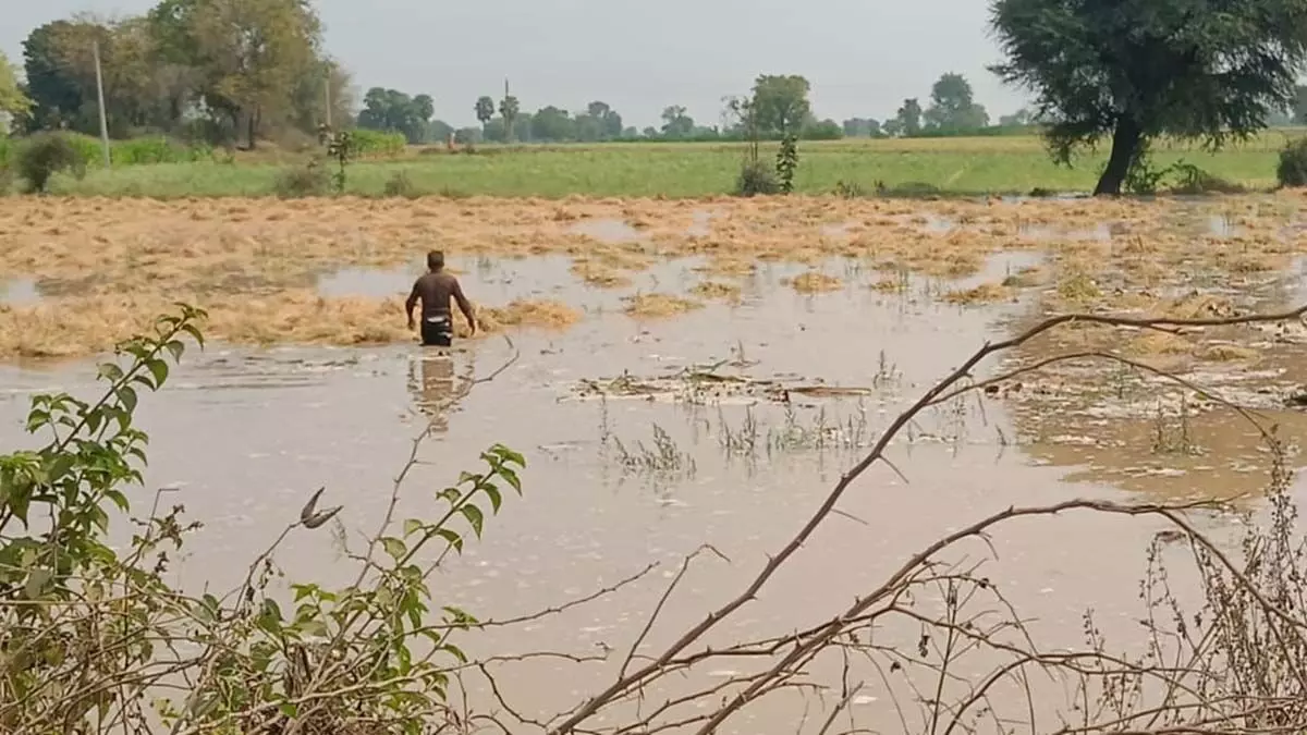 इंदौर में आज रहेगा जल संकट,नर्मदा लाइन फूटने से खाली रह गई टंकियां