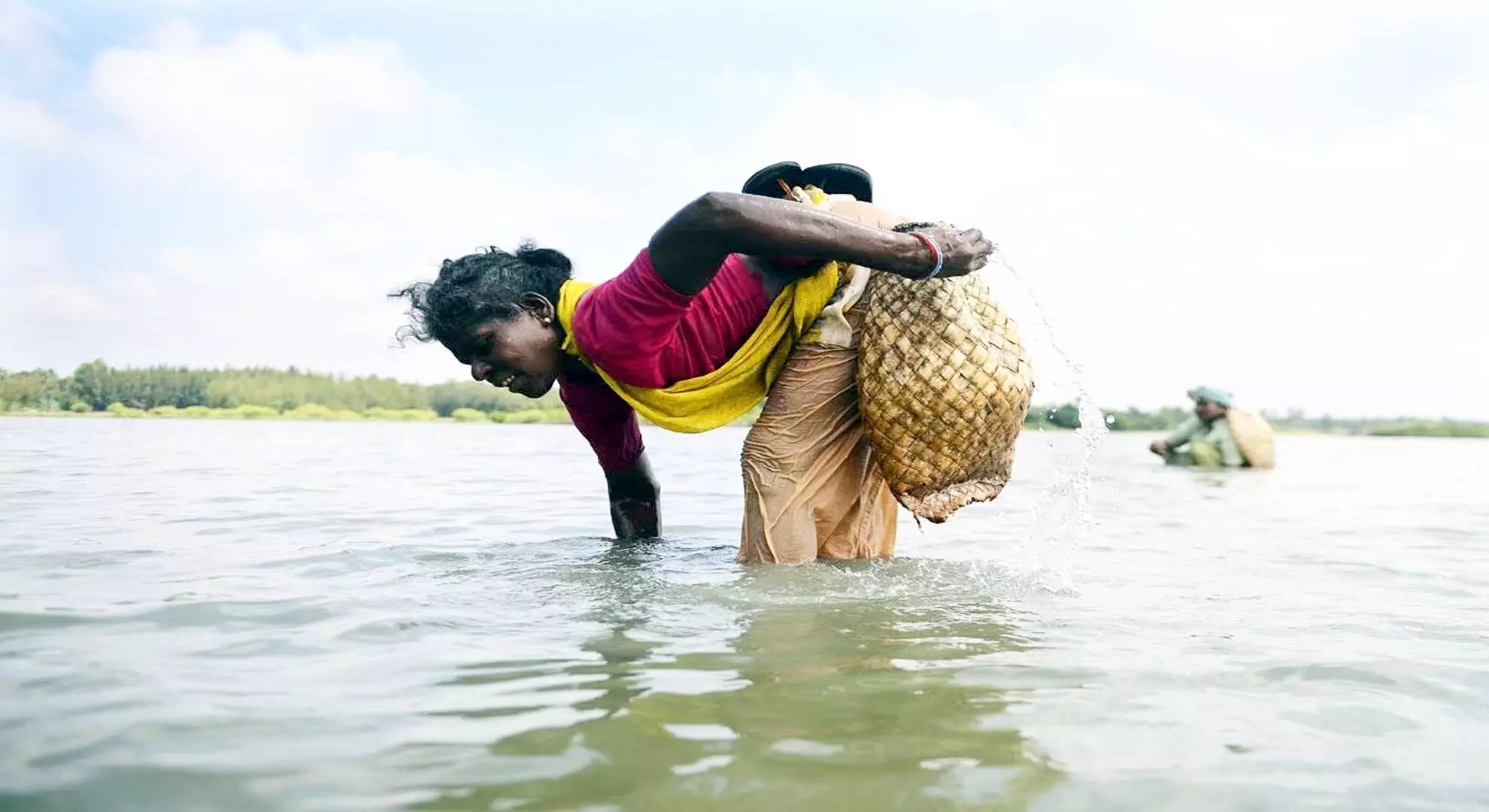 आंध्र प्रदेश: एमपीईडीए ने झींगा निर्यात को बढ़ावा देने के लिए कार्यशालाएं आयोजित कीं