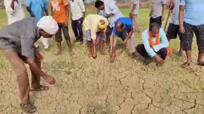 रबी फसल की बुआई कर किसान परेशान, सिंचाई विभाग पर लगाया पानी नहीं छोड़ने के आरोप