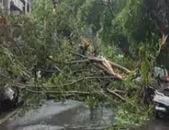 वज्रपात आंधी-तूफान से गढ़वा-पलामू में भारी नुकसान, 2 बच्चो की मौत