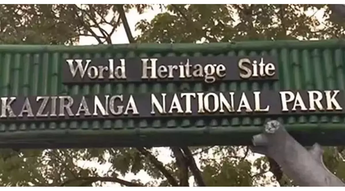 पीएम मोदी पहली बार काजीरंगा राष्ट्रीय उद्यान का दौरा करने के लिए तैयार