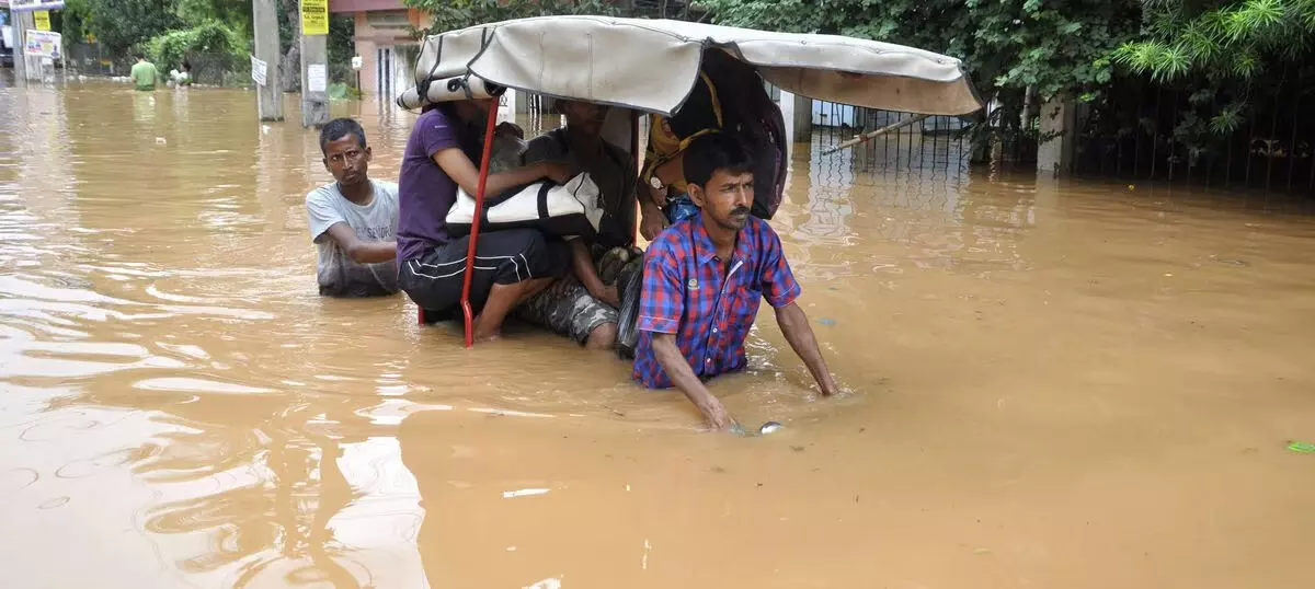 बोकाखाट में संभावित बाढ़ की स्थिति से निपटने के लिए तैयारी बैठक आयोजित