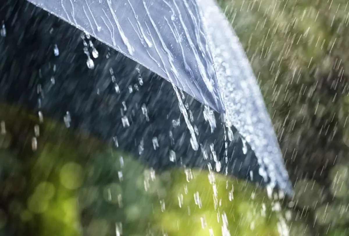 बारिश अलर्ट: कई राज्यों में बदलेगा मौसम का मिजाज, छाता लेकर घर से निकलें