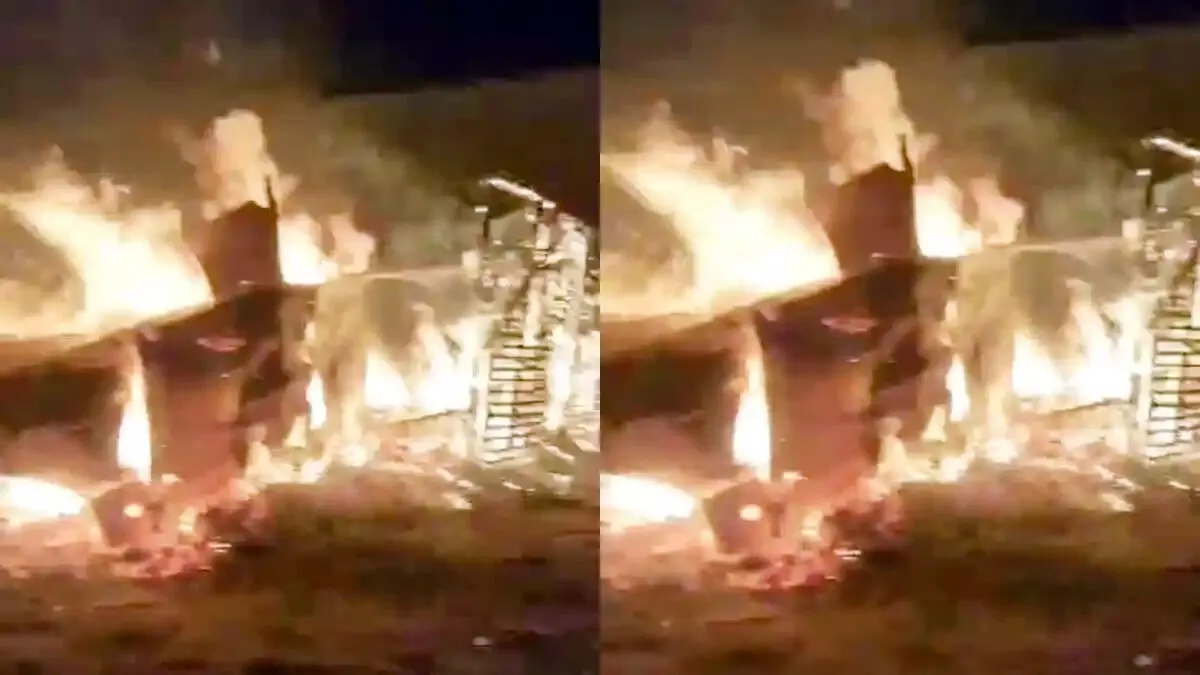 सीतामढ़ी में कई घरों में लगी आग छह मवेशी जले