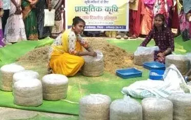 महिला किसान ने अपनाई जैविक खेती, सफलता की राह हुई आसान