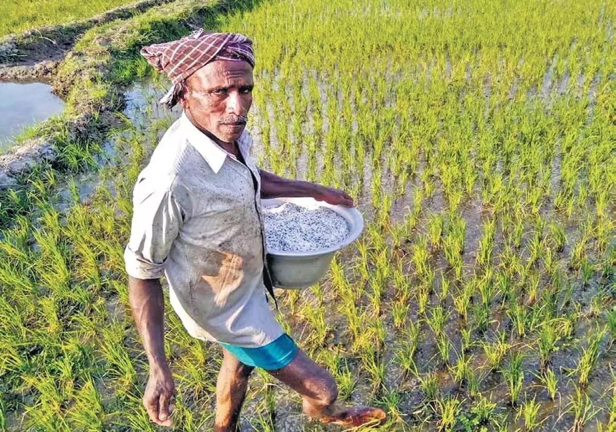 तेलंगाना तीन साल बाद फिर से पीएम फसल बीमा योजना में शामिल हुआ