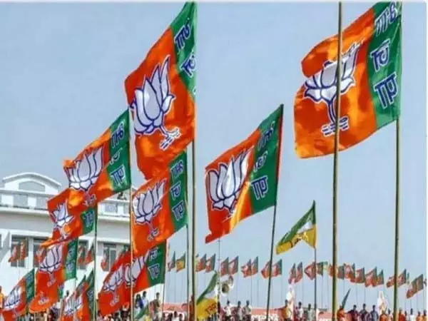 भाजपा के केंद्रीय चुनाव पैनल की अगले सप्ताह फिर बैठक होगी