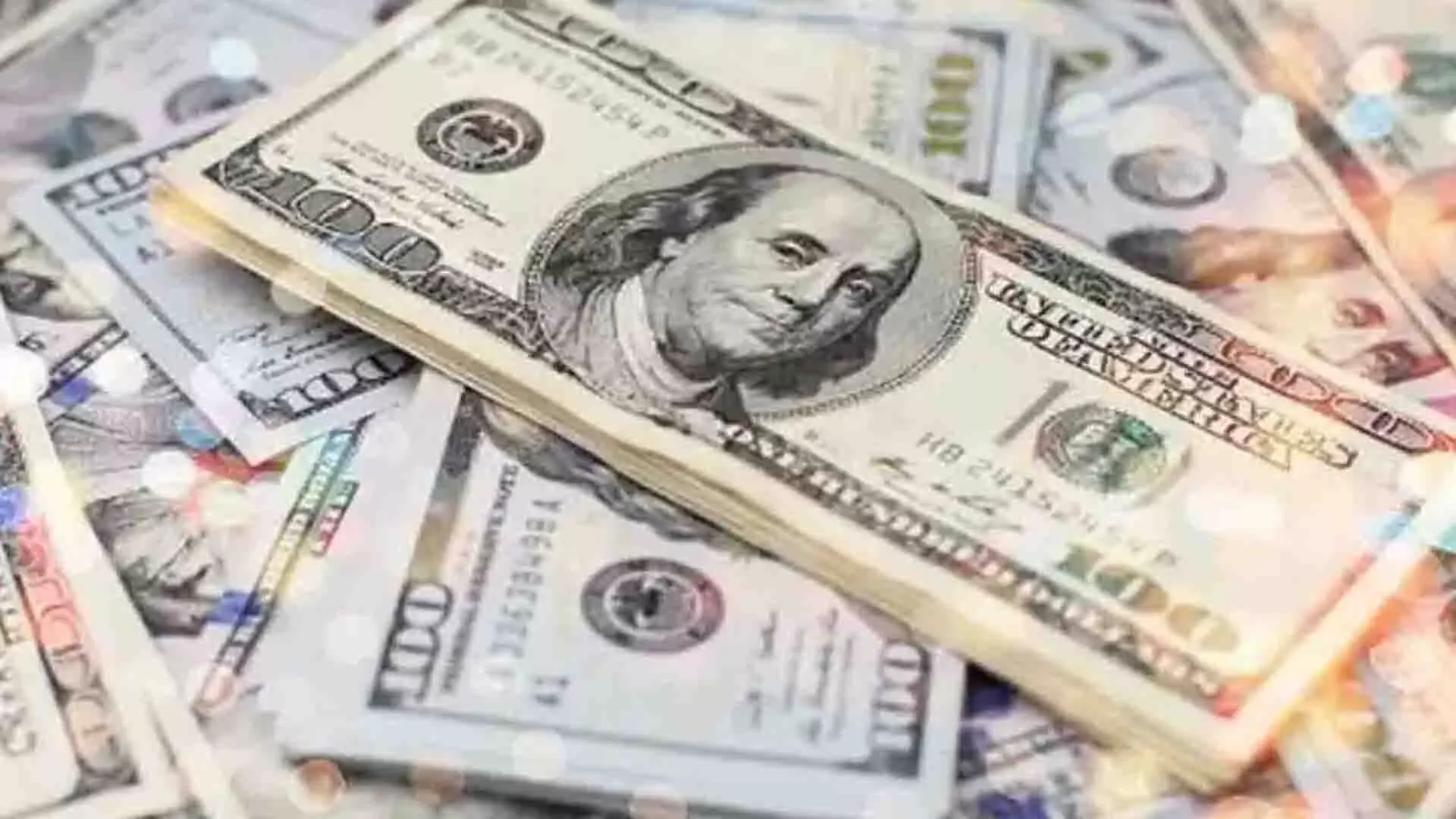 विदेशी मुद्रा भंडर बढ़कर 619 अरब डॉलर हो गया