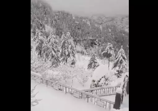 शिमला में भारी बर्फबारी, वीडियो