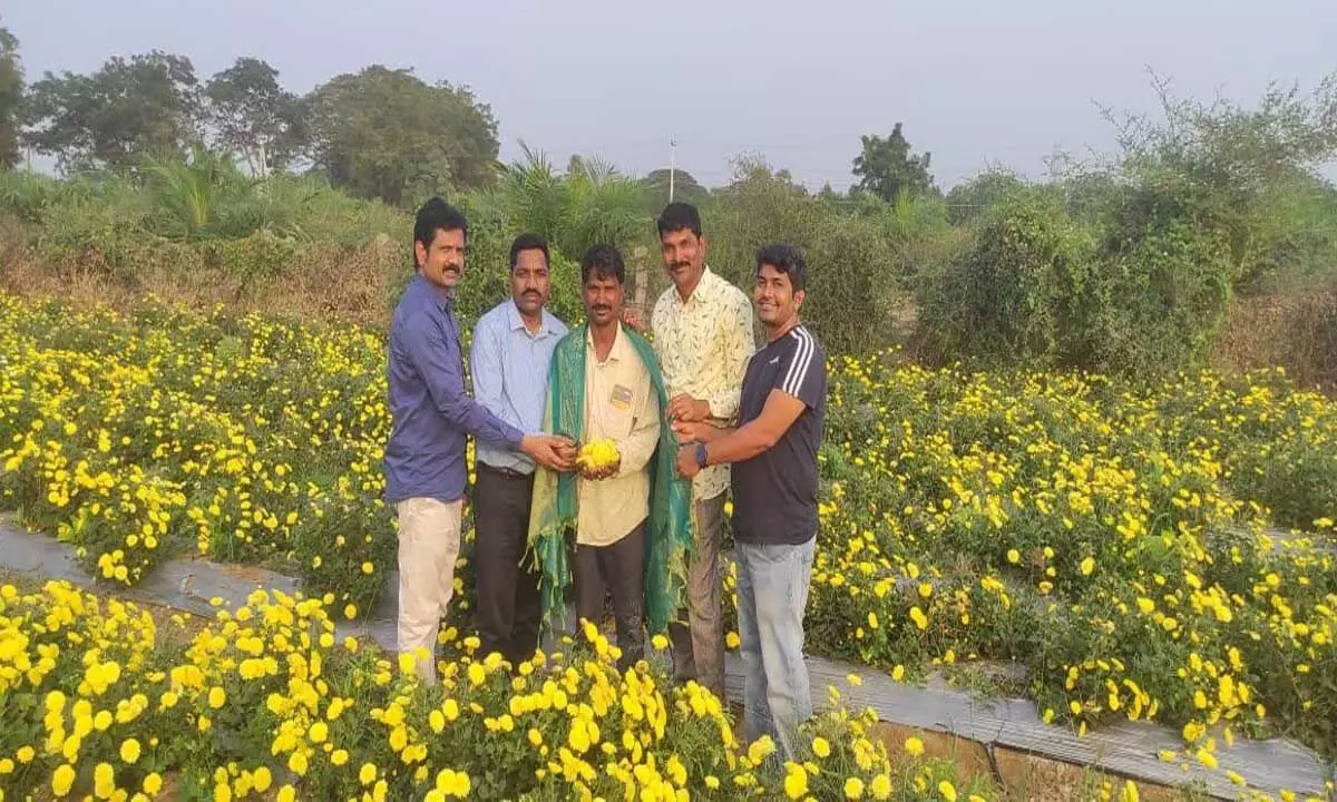 तेलंगाना सरकार कोठागुडेम में फूलों पर जोर दे रही