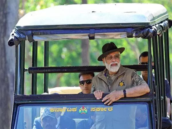 पीएम मोदी के दौरे के मद्देनजर काजीरंगा में 7-9 मार्च तक बंद रहेगी जीप सफारी, हाथी की सवारी