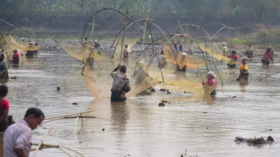 बोको के मोइहम बील में सामुदायिक मछली पकड़ने के लिए लोग एक साथ आते