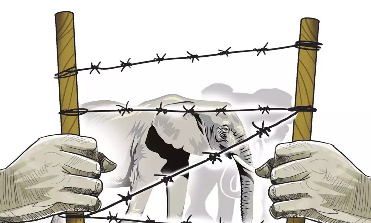 केरल में मतदान मोड में आते ही मानव-पशु संघर्ष पर प्रकाश डाला गया