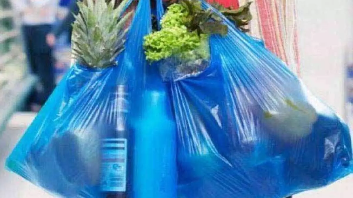 प्लास्टिक के खिलाफ छापेमारी अभियान में सात दुकानदारों का चालान कर 3500 रुपये जुर्माना वसूला गया
