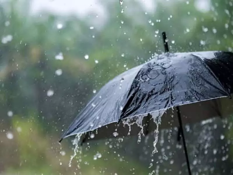 ओडिशा के कुछ स्थानों पर 10 मार्च तक हल्की बारिश होने की संभावना