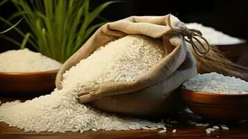 जगतगिरी गुट्टा छापे में पीडीएस चावल जब्त किया