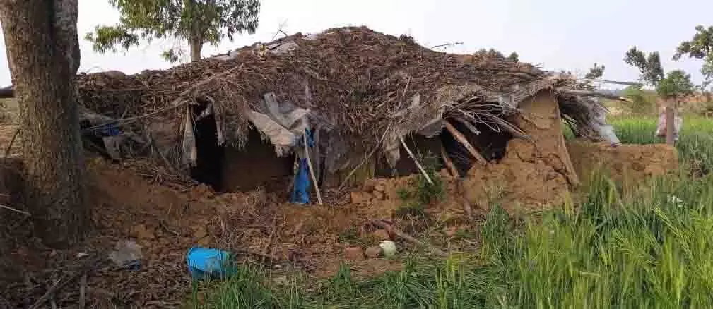 हाथियों के झुंड ने मचाया आतंक, ग्रामीणों के घर को किया तबाह