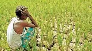बिन बिजली 500 बीघा में सिंचाई ठप, किसानों की बढ़ी चिंता